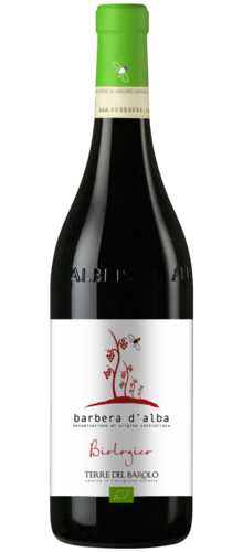Organic Barbera d'Alba
