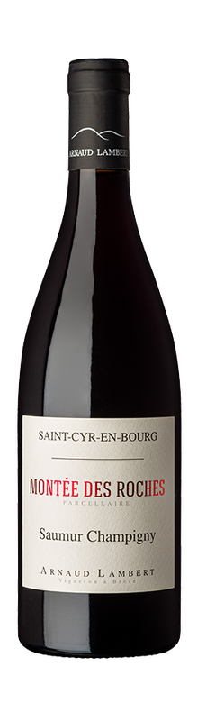 Saumur Champigny Mont&eacute;e des Roches 2023