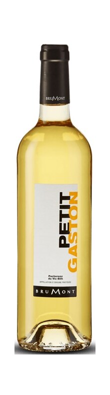 Petit Gaston Pacherenc du Vic Bilh sec 2016