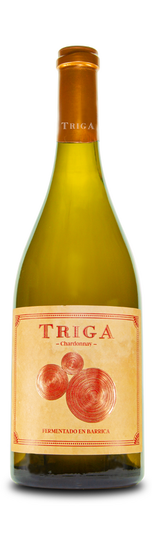 Triga 2022